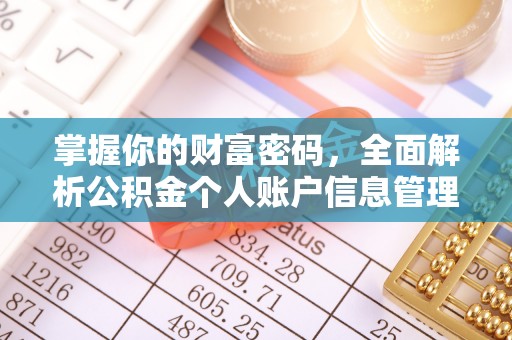 蛟河掌握你的财富密码，全面解析公积金个人账户信息管理与优化