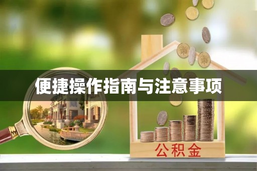 蛟河便捷操作指南与注意事项